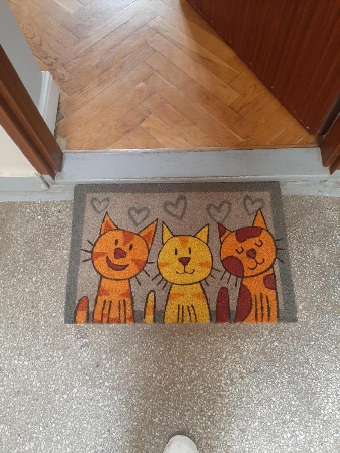 Apartament Koci Leb Stary Toruń Екстериор снимка