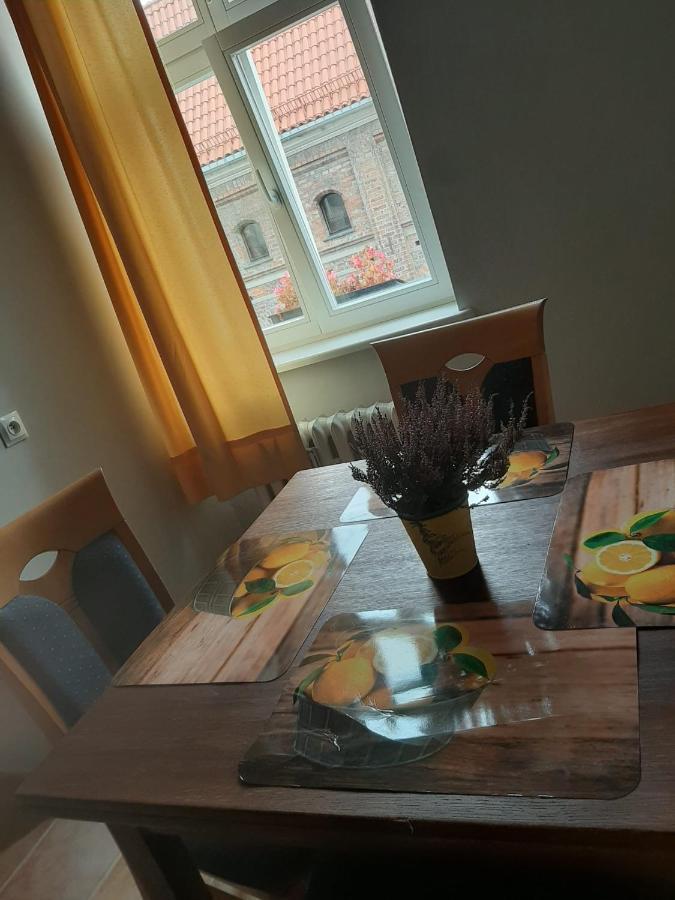 Apartament Koci Leb Stary Toruń Екстериор снимка